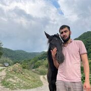 ���������� ������, ���� ������� �����, 29 ���, ������������ ��� ������, ����� � ���������, ���������