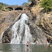 ���������� ��������, ���� ������� ����������, 39 ���, ������������ ��� ������, ����� � ���������, c�������� ���������