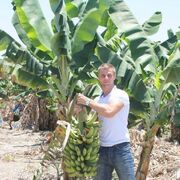 ���������� �����-���������, ���� ������� ������, 32 ����, ������������ ��� ������, ����� � ���������