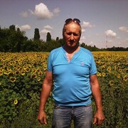 ���������� ������, ���� ������� ����, 49 ���, ������������ ��� ������, ����� � ���������, c�������� ���������