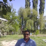  ,   PIRAT, 50 ,   