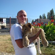 ���������� �����-���������, ���� ������� ���������, 45 ���, ������������ ��� ����� � ���������, c�������� ���������