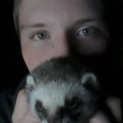 ���������� �������, ���� ������� ������, 28 ���, ������������ ��� ������, ����� � ���������, c�������� ���������