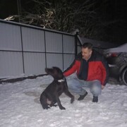 ���������� �����-���������, ���� ������� �������, 55 ���, ������������ ��� ������, ����� � ���������