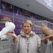  ,   , 50 ,   ,   