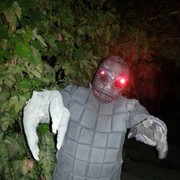 ���������� ������, ���� ������� �������, 48 ���, ������������ ��� ������, ����� � ���������, c�������� ���������