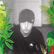 ���������� �����, ���� ������� ���������, 31 ���, ������������ ��� ������, ����� � ���������, c�������� ���������