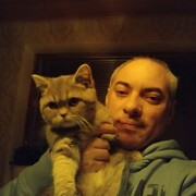  Flensburg,   , 41 ,   ,   , c , 