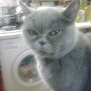  ,   Witalij, 56 ,   ,   