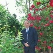  ,   Taleh, 62 ,   ,   , c 