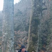 ���������� ������������, ���� ������� ������, 56 ���, ������������ ��� ������, ����� � ���������