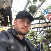 ���������� ������, ���� ������� �����, 43 ����, ������������ ��� ������, ����� � ���������