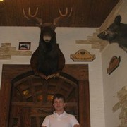  ,   Nikita, 34 ,   ,   , c 