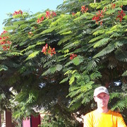 ���������� ������, ���� ������� �������, 47 ���, ������������ ��� ������, ����� � ���������, c�������� ���������