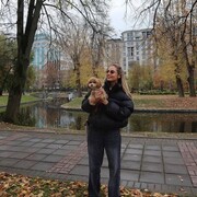 ���������� �����, ���������