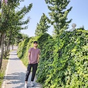  ,   Ali, 29 ,   ,   