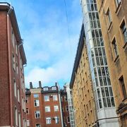 ���������� ������, ���� ������� ����, 43 ����, ������������ ��� ����� � ���������, c�������� ���������