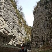  ,    , 31 ,     , c 