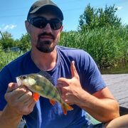 ���������� �����-���������, ���� ������� ����, 38 ���, ������������ ��� ������, ����� � ���������, c�������� ���������