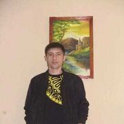 ���������� ���������, ���� ������� ����, 43 ����, ������������ ��� ����� � ���������, c�������� ���������, ���������