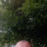  ,   Semsi, 43 ,   ,   