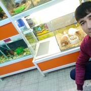  ,   , 30 ,   ,   , c 