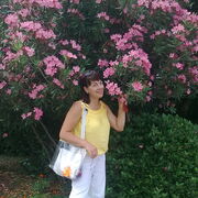 ���������� ����, ���� ������� �������, 53 ����, ������������ ��� c�������� ���������