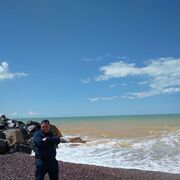 ���������� �����������, ���� ������� �������, 44 ����, ������������ ��� ������, ����� � ���������, c�������� ���������