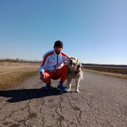 ���������� ���������, ���� ������� �����, 30 ���, ������������ ��� ������, ����� � ���������