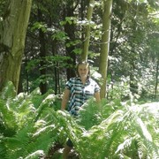 -,   , 41 ,   ,   , c 