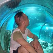 ���������� �������, ���� ������� ������, 27 ���, ������������ ��� ������, ����� � ���������, c�������� ���������