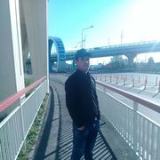 ���������� ����, ���� ������� ���, 29 ���, ������������ ��� ������, ����� � ���������