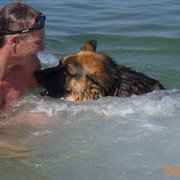 ���������� �����������, ���� ������� ����, 48 ���, ������������ ��� ������