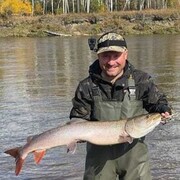 ���������� �����������, ���� ������� ����� �����, 42 ����, ������������ ��� ������, ����� � ���������, c�������� ���������