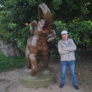  ,   , 52 ,   ,   