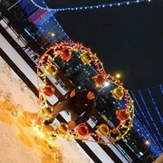 ���������� �����������, ���� ������� �������, 39 ���, ������������ ��� ������, ����� � ���������, c�������� ���������