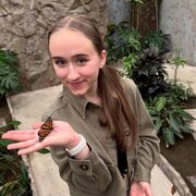 ���������� ���������, ���� ������� ������, 30 ���, ������������ ��� ������, ����� � ���������