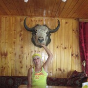  ,   , 55 ,   ,   
