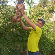  ,   , 45 ,   ,   , c , 