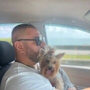 ���������� ����, ���� ������� ������, 40 ���, ������������ ��� ������, ����� � ���������