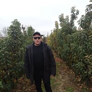  ,   Vladimir, 48 ,     , c 