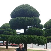  Pusan,   Evgenii, 41 ,   ,   , c 