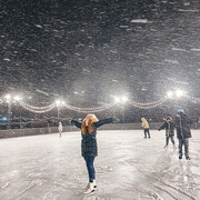 ���������� �����-���������, ���� ������� ����, 31 ���, ������������ ��� ����� � ���������, c�������� ���������