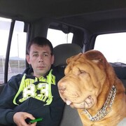  ,   , 44 ,   ,   