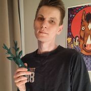 ���������� �����-���������, ���� ������� ��, 29 ���, ������������ 