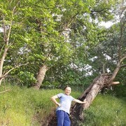 ���������� ���������, ���� ������� ��������, 45 ���, ������������ ��� ������, ����� � ���������, c�������� ���������, ���������