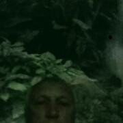 ���������� ���������, ���� ������� ������, 65 ���, ������������ ��� c�������� ���������