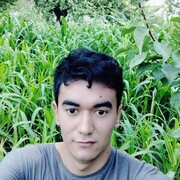  ,  Ali, 31