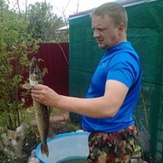 ���������� �����������, ���� ������� ������, 48 ���, ������������ ��� ������, ����� � ���������, c�������� ���������