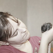  ,   , 35 ,   ,   , c 